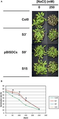 Spermine Confers Stress Resilience by Modulating Abscisic Acid Biosynthesis and Stress Responses in Arabidopsis Plants